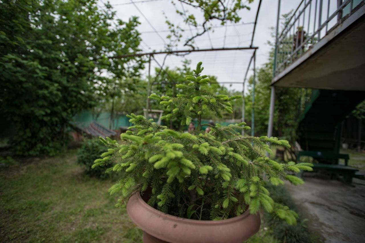 Zandukeli Inn Telavi Bagian luar foto